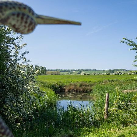 Winchelsea Lodge Dış mekan fotoğraf
