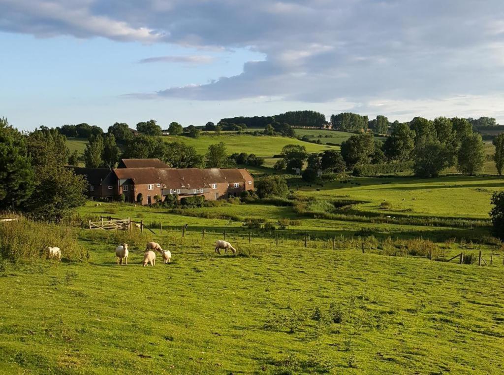 Winchelsea Lodge Dış mekan fotoğraf